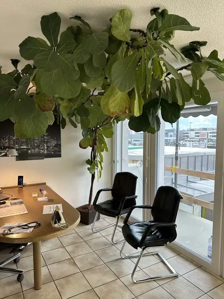 Medic Center Heimberg